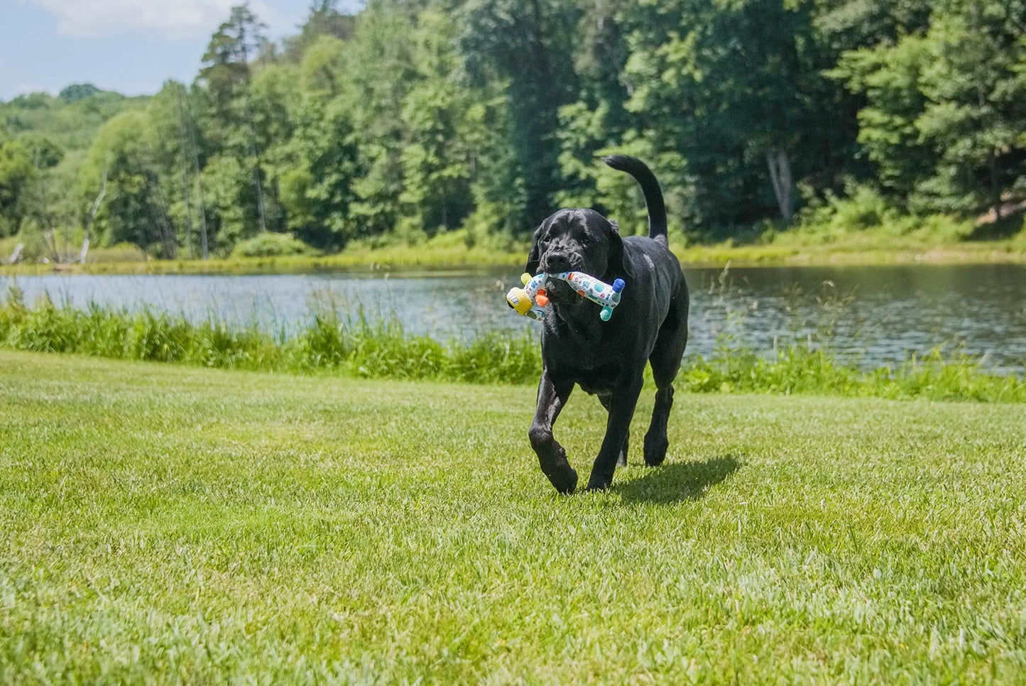 Plush Smiling Dog Toy, Medium Size, Squeaker